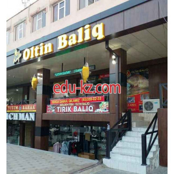 Кафе - Oltin Baliq